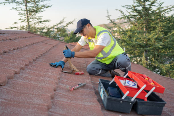 Best Storm Damage Roof Repair  in Violet, LA